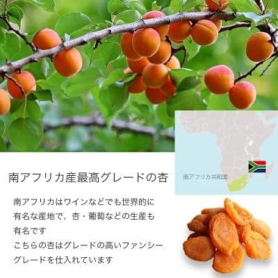 ドライアプリコット 1k - サムネイル4