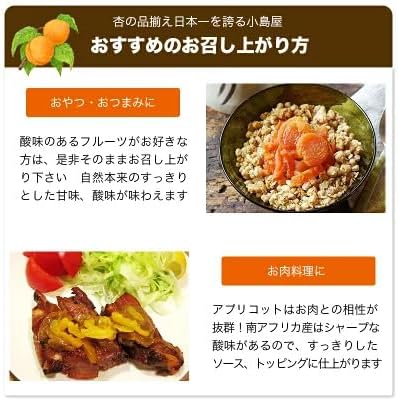ドライアプリコット 1k - サムネイル7