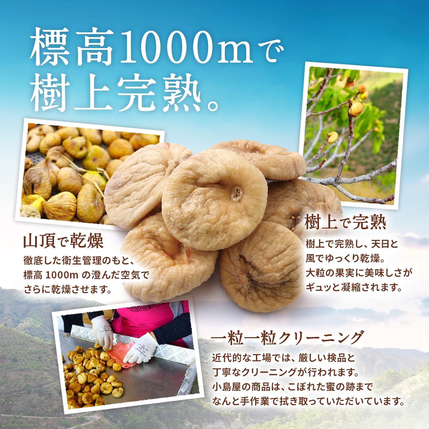ドライいちじく 780g - サムネイル5
