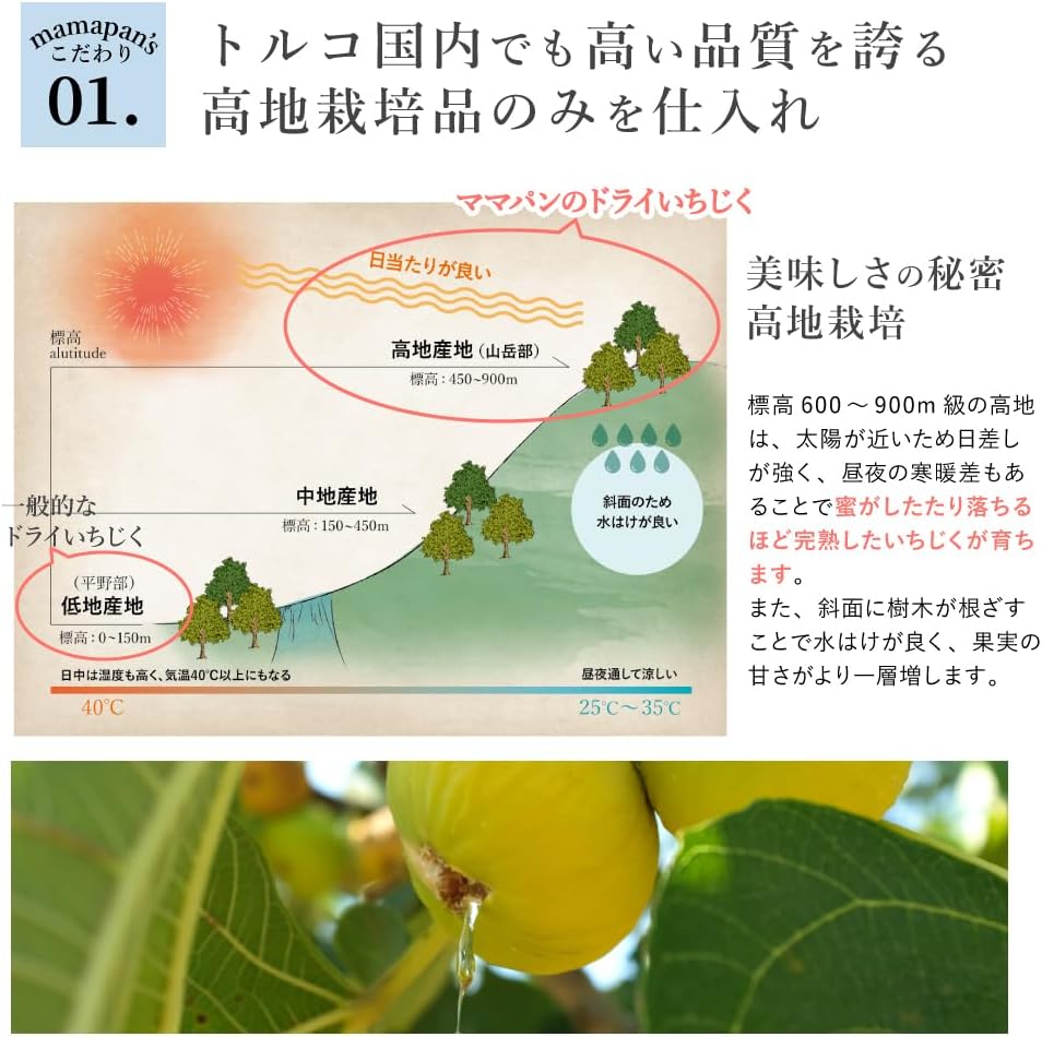 【ママパン】有機ドライいちじく（白フィグ） 1k - サムネイル6