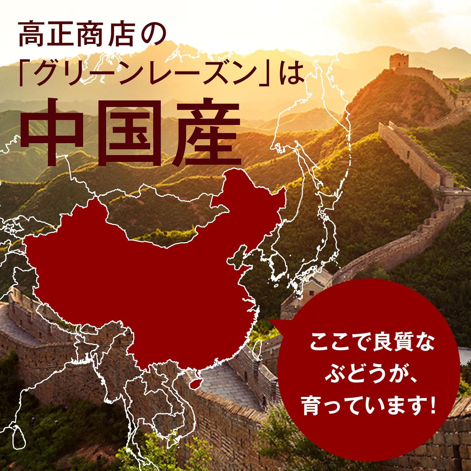 グリーンレーズン【添加物不使用・砂糖不使用】 800ｇ - サムネイル3