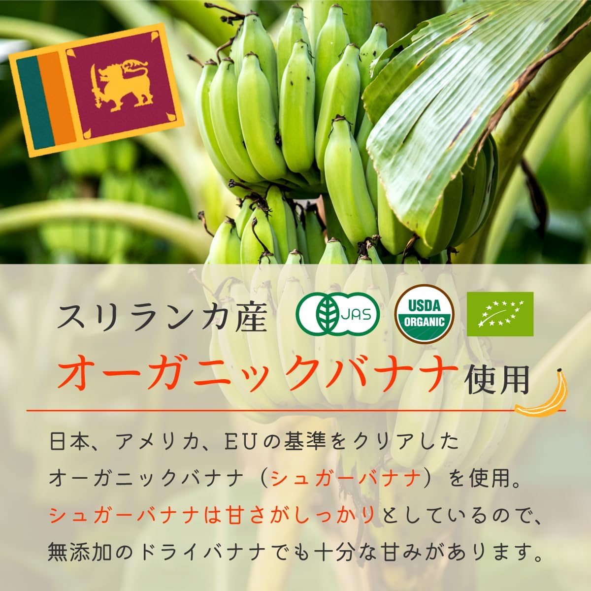 ドライバナナ オーガニック 有機 無添加 無農薬 砂糖不使用 オイル不使用 バナ - サムネイル6