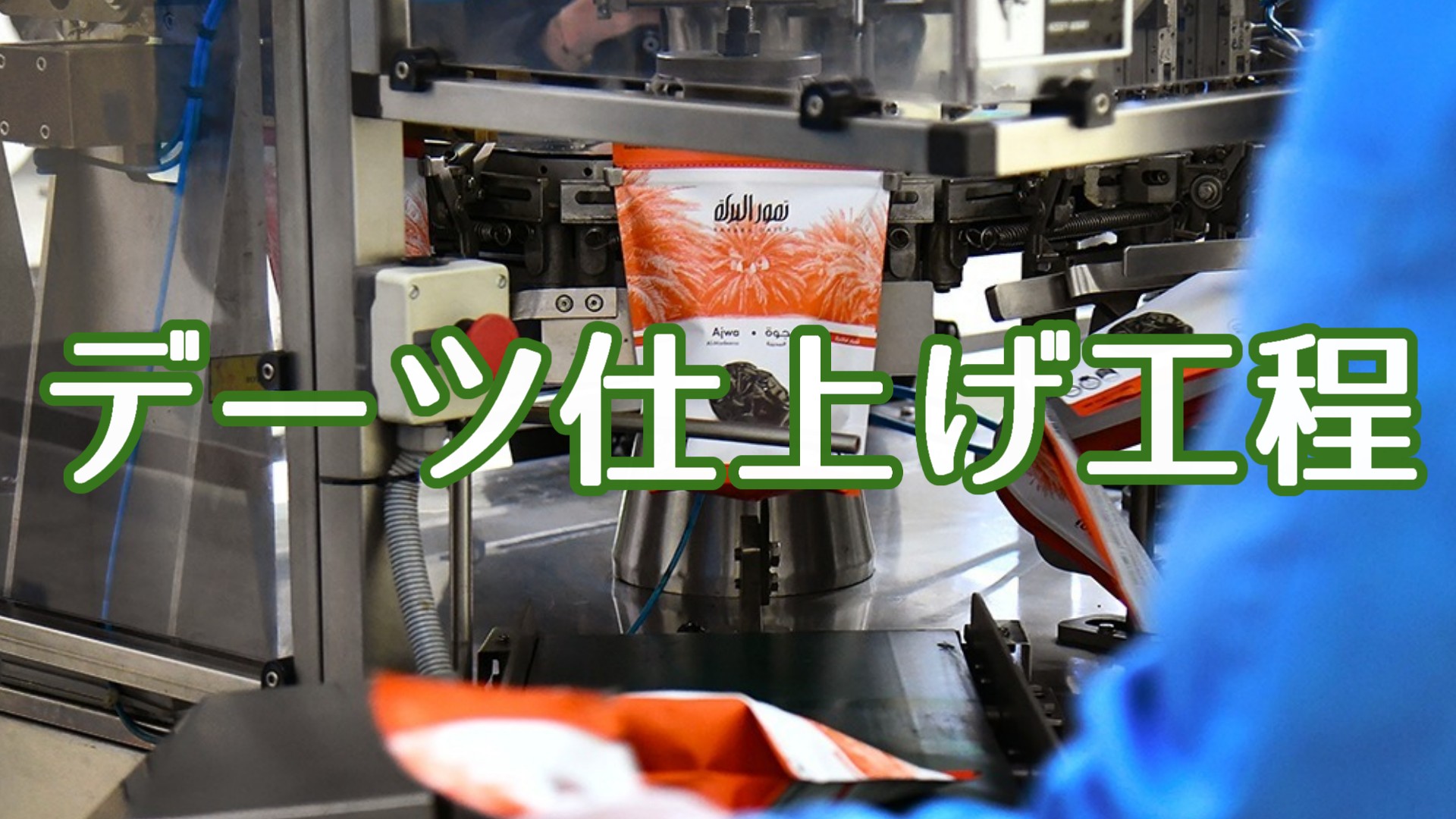Alishan アリサン 有機 オーガニック なつめやし デーツ ジャワンソアー - サムネイル3
