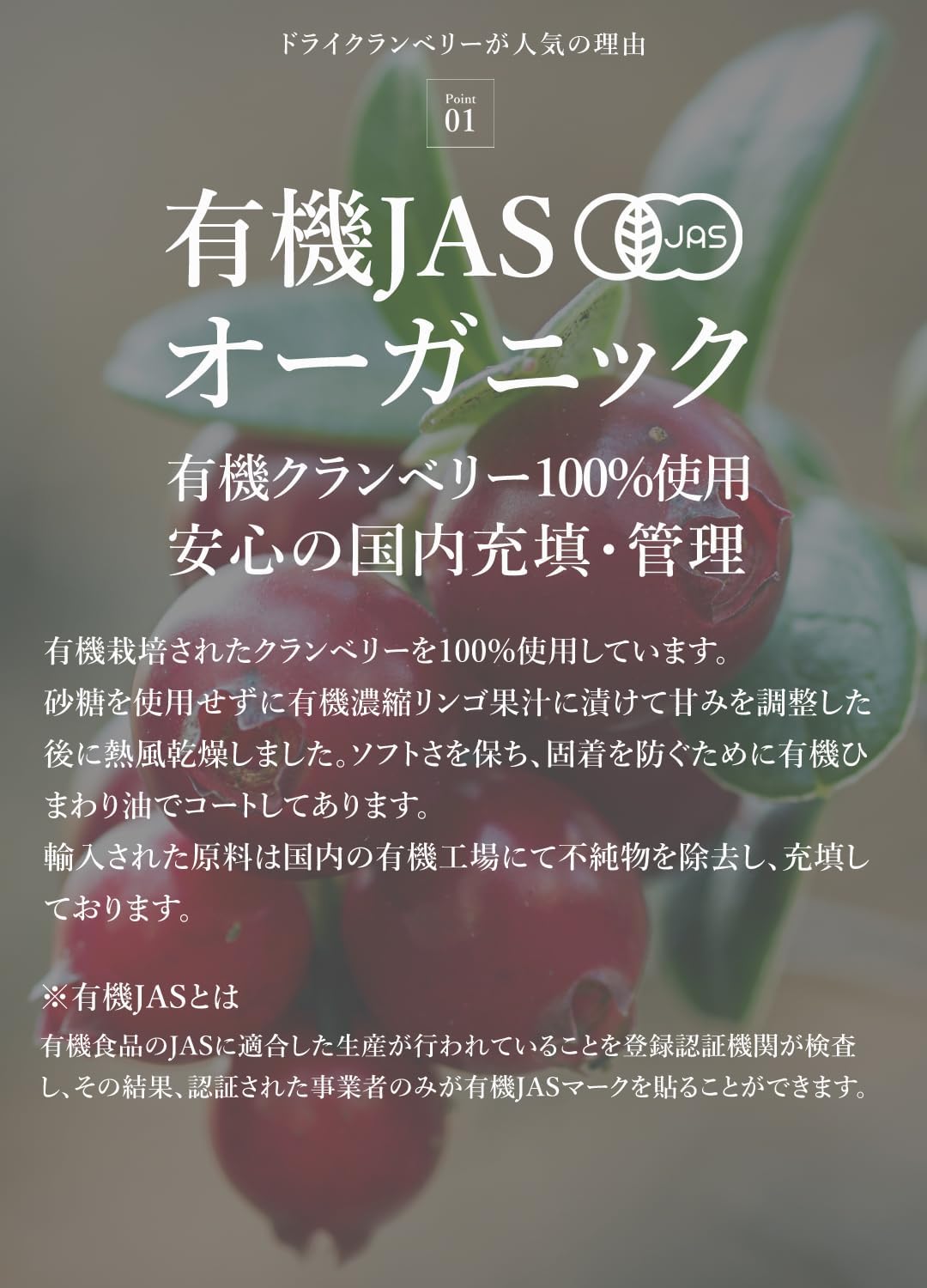 San'ta Rosa (サンタローサ) ドライクランベリー 100g - サムネイル2