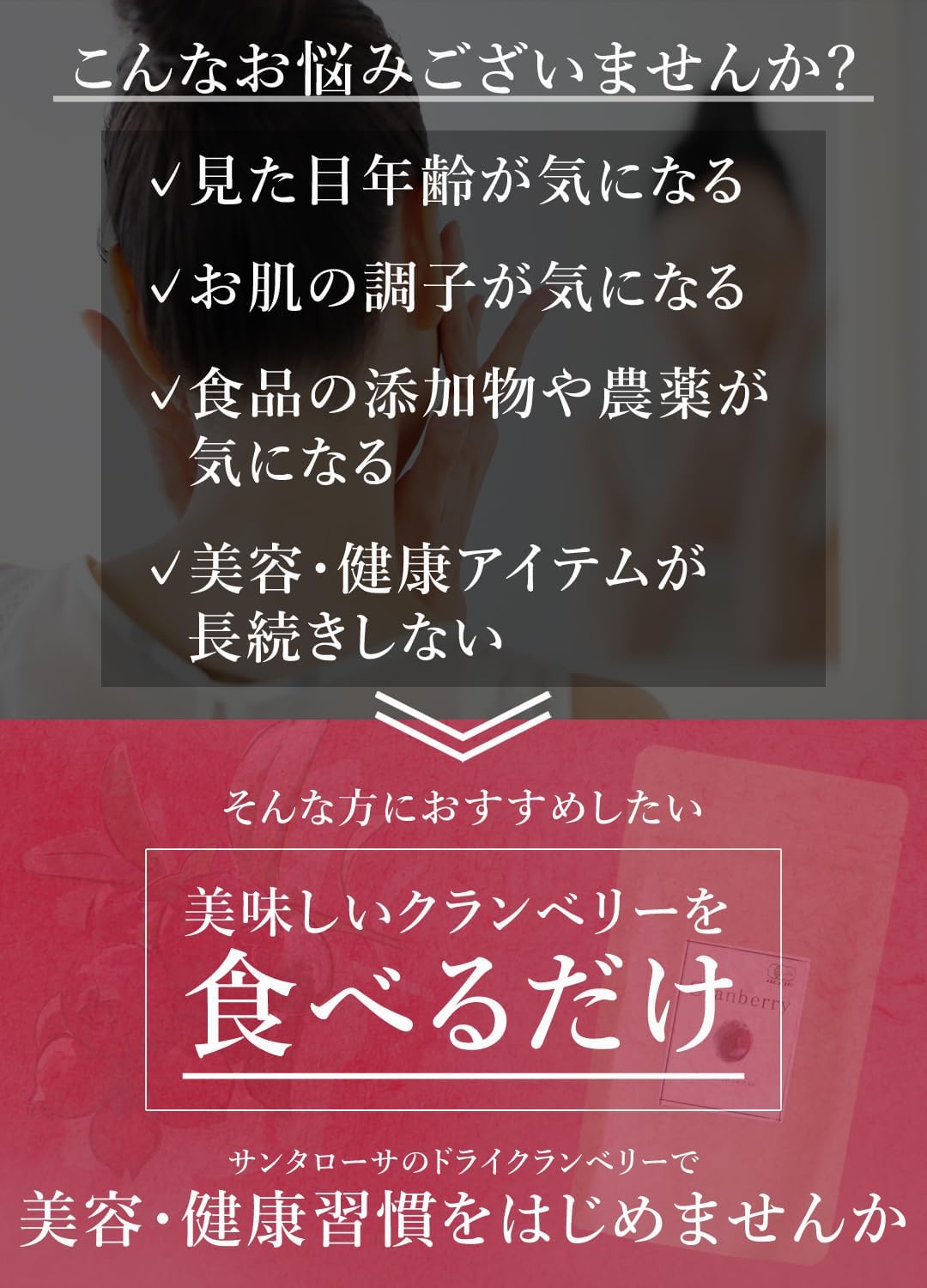 San'ta Rosa (サンタローサ) ドライクランベリー 100g - サムネイル4
