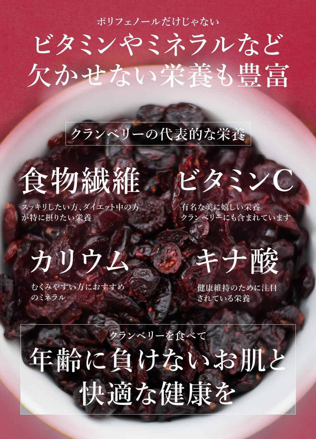 San'ta Rosa (サンタローサ) ドライクランベリー 100g - サムネイル6