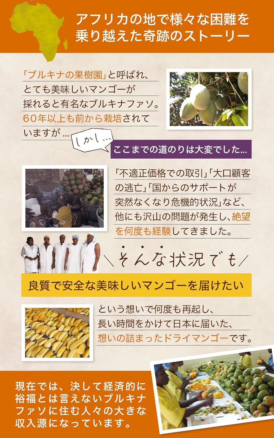 喜保屋 有機ドライマンゴー 160g - サムネイル7