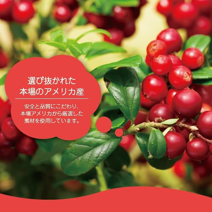 ドライ クランベリー 450g - サムネイル4