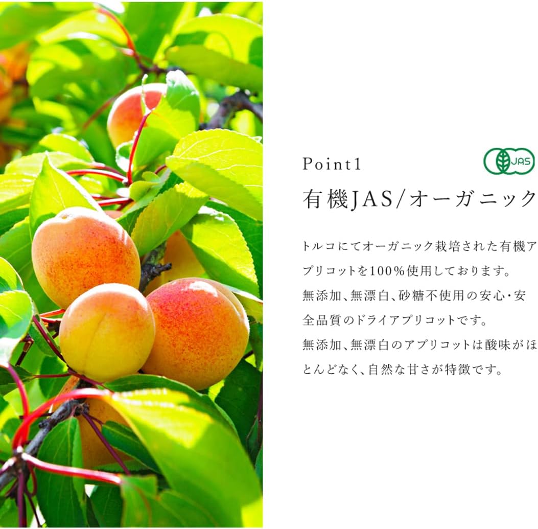 San'ta Rosa (サンタローサ) アプリコット あんず 100g - サムネイル5