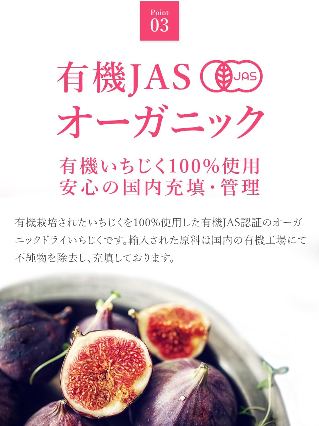 San'ta Rosa (サンタローサ) イチジク ドライフルーツ 100g - サムネイル8