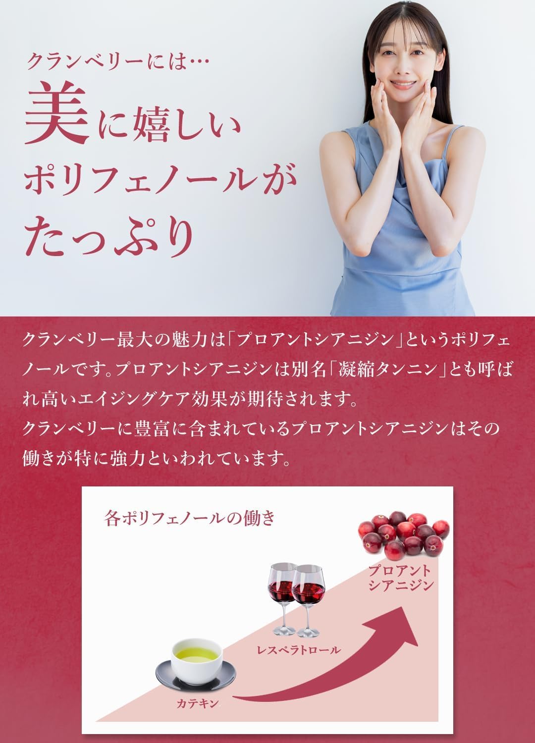 San'ta Rosa (サンタローサ) ドライクランベリー 500g - サムネイル5