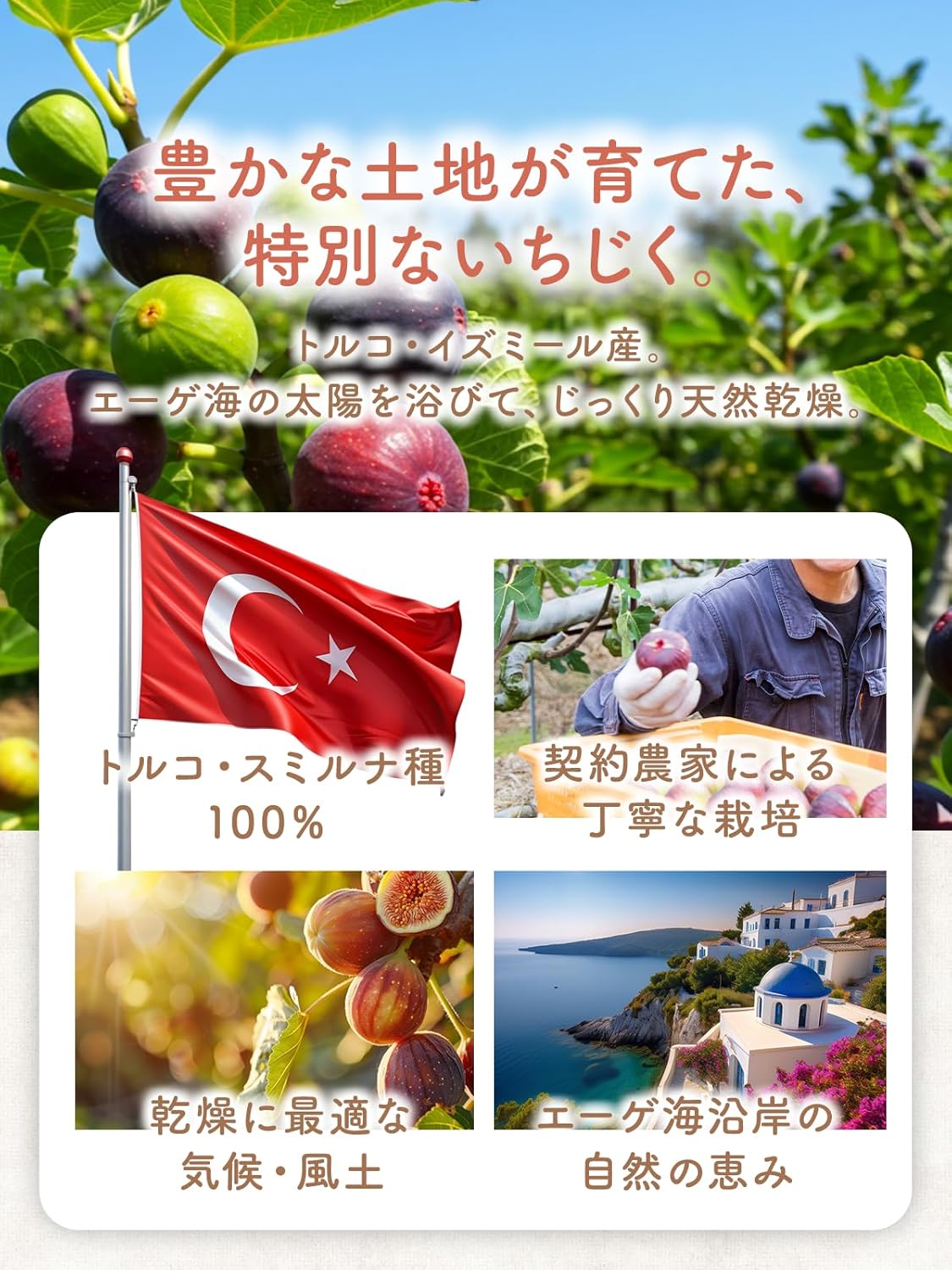 イチジク ドライフルーツ 100g - サムネイル8
