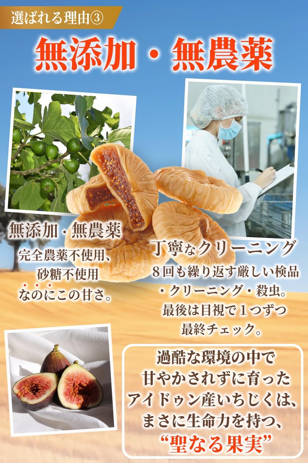 健康kitchen ドライイチジク 100g - サムネイル5