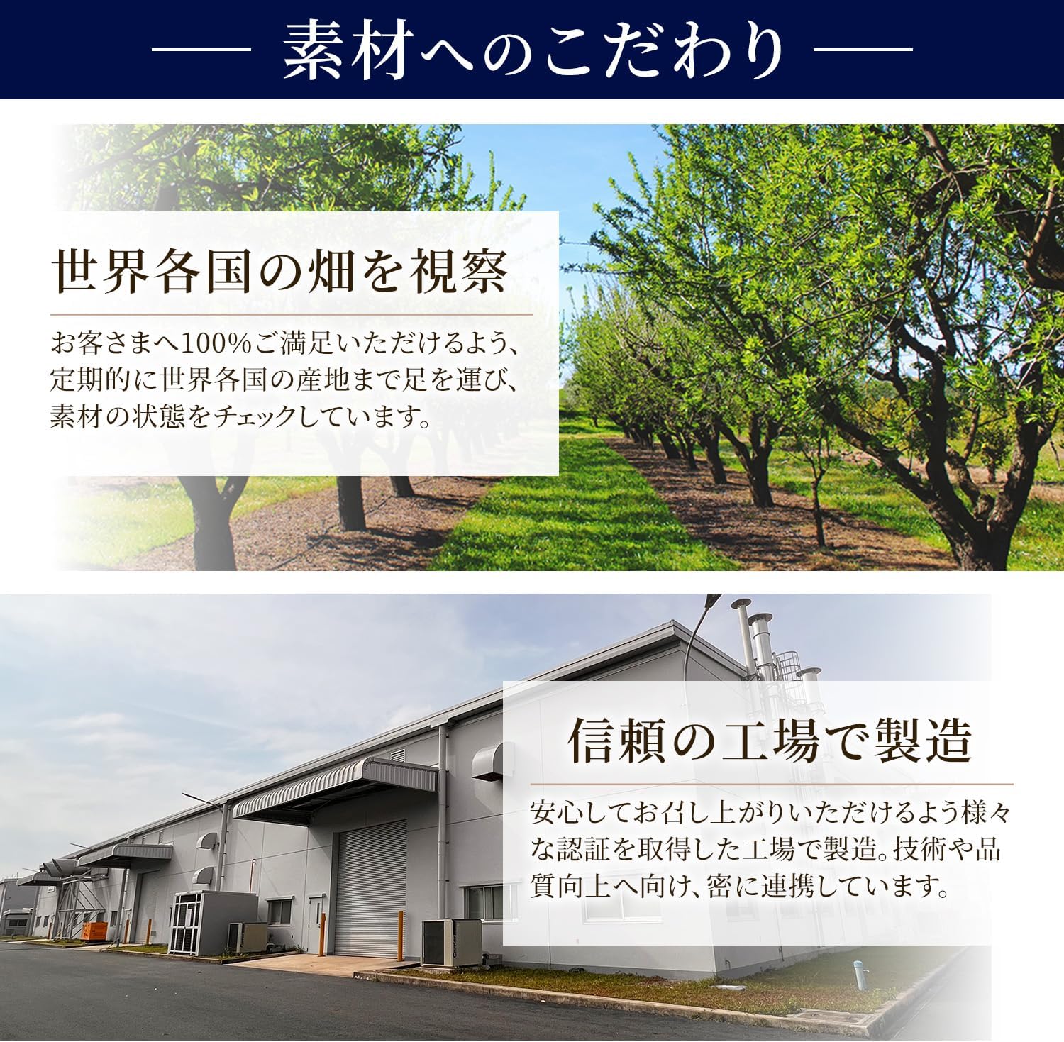 ドライクランベリー スライス 内容量 : 500g - サムネイル9