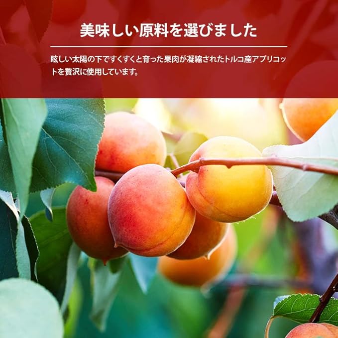 [前田家] ドライアプリコット 120g - サムネイル5